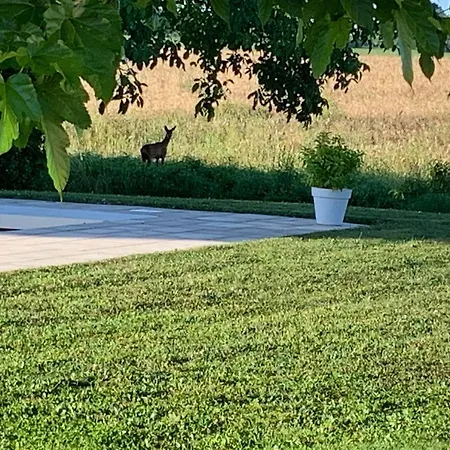 Le Logis De La Chouette Penzion 3*