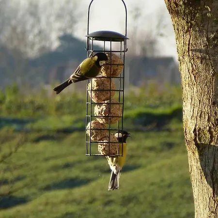 Le Logis De La Chouette Baugé