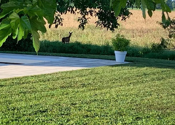 Le Logis De La Chouette Guest house 3*